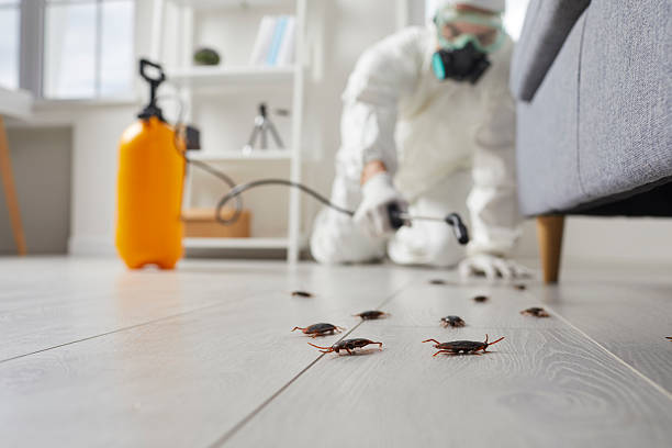 Commercial Kitchen Cockroach Control in Atwood
